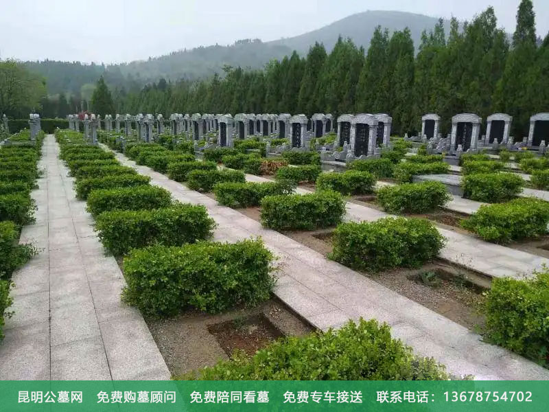 长见识了,不同类型的陵园墓地葬法有所不同