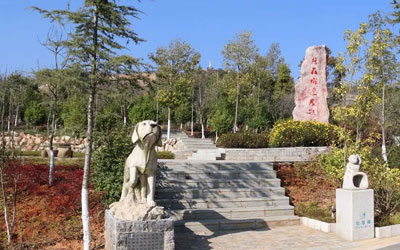 青龙园公墓与其他公墓相比有何独特之处