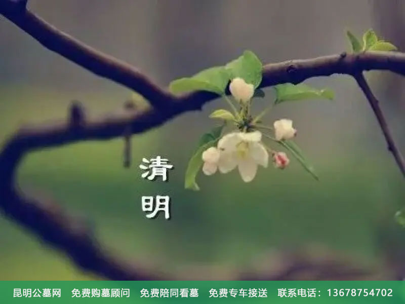 清明节的来历与习俗