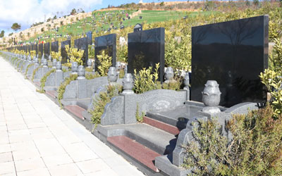 公墓和陵园有什么区别,我们应该怎么区分它们