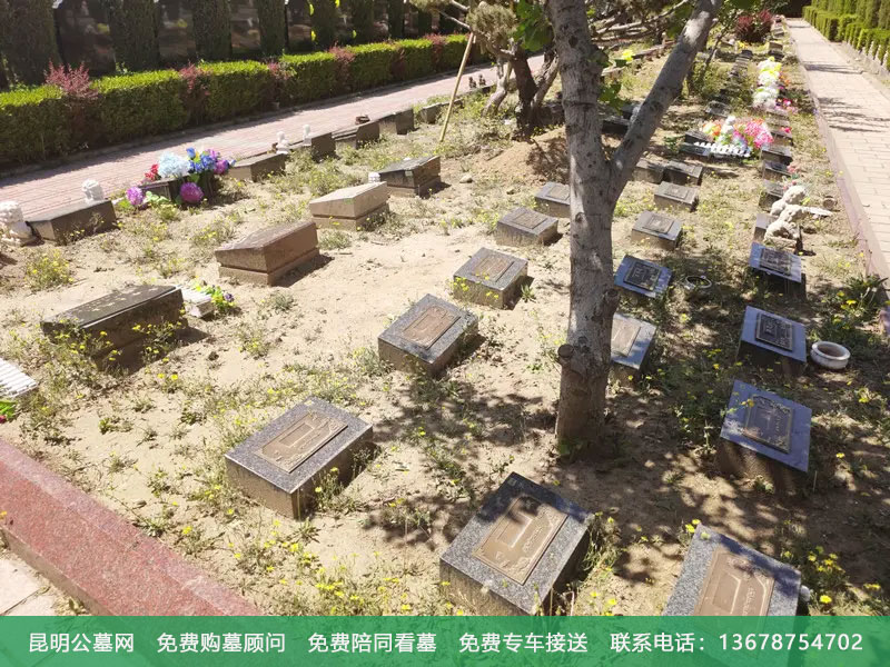 不同类型墓地的葬法差异