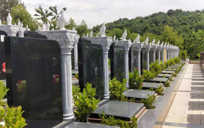 公墓中的植物选择有什么讲究