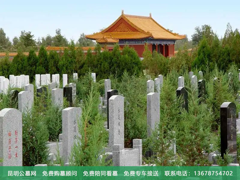 去墓地后得了癔病怎么办