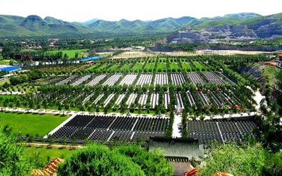 墓地越来越豪华,其背后的原因引人深思