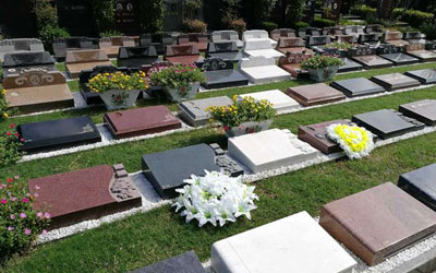 生态葬的几种安葬形式