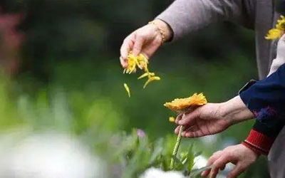 做寿衣、叩头礼，逐渐消逝的中国入殓仪式是糟粕还是文化精华