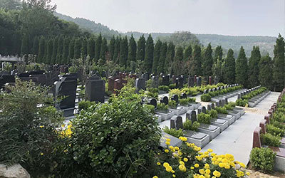 墓碑都有哪些类型