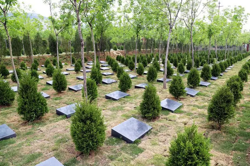 迁坟流程及讲究，迁坟需要注意哪些事情