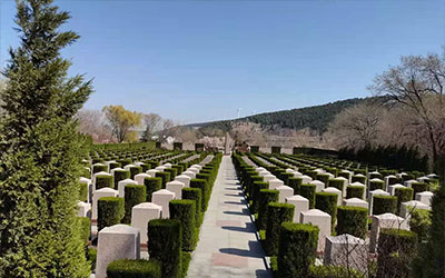 陵园墓地产权是多久,到期后该怎么处置