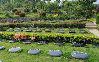 什么是草坪葬、树葬，昆明哪里有