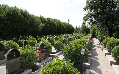 骨灰下葬的风俗