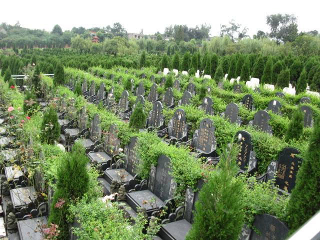 公墓信息网都能为您提供哪些服务