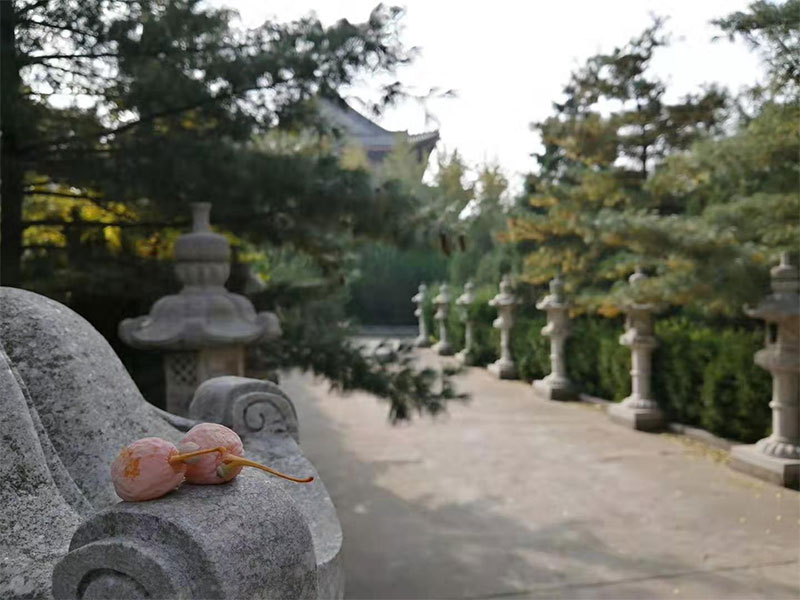 昆明墓地可以提前准备吗