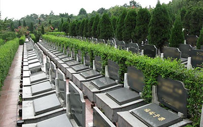 为何会提前购买喜墓