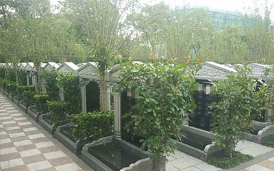 墓地期限20年存在误区