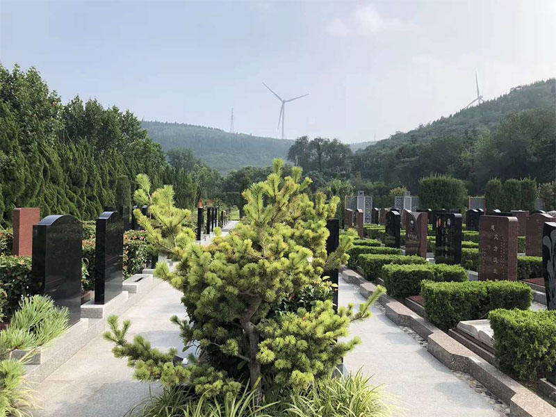 树葬是什么意思