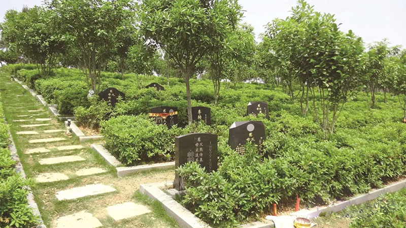 坟墓周围种树好不好？不可乱种坏风水