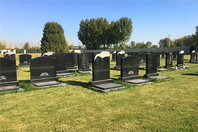 祖坟旁有大树对风水有什么影响