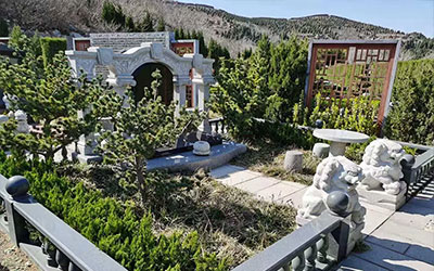 园区植物的风水作用