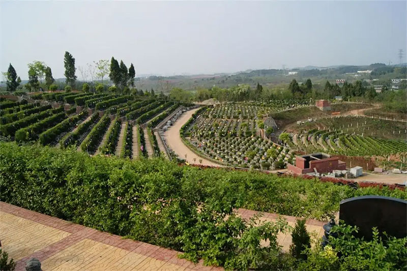 墓园里的植物造景放哪些植物好