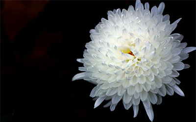 祭祀的意义,看了此文秒懂