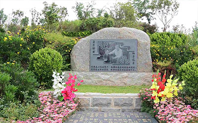 墓地旁边种柏树原来还有这么多含义