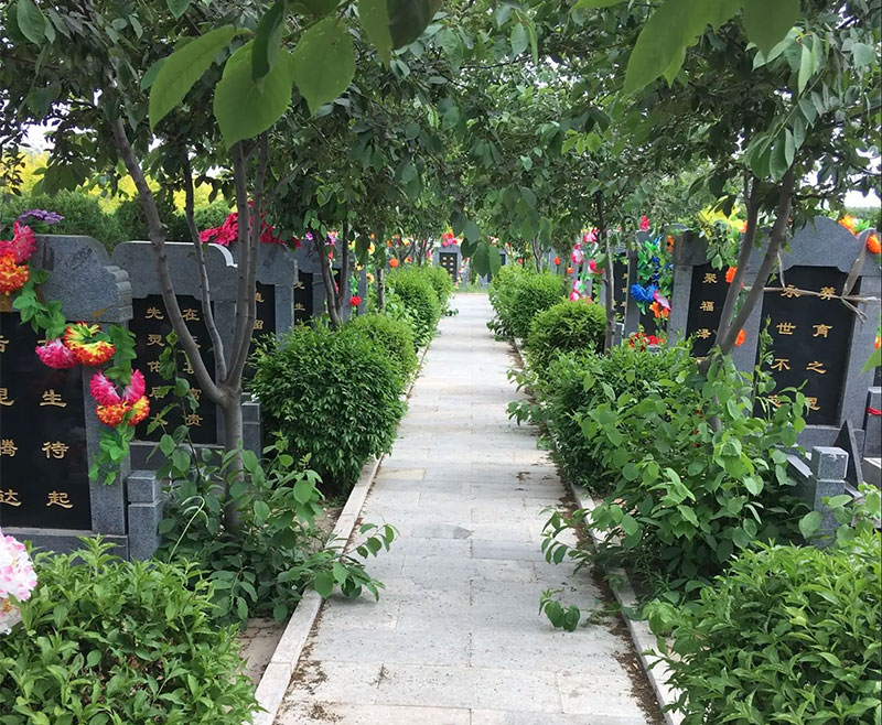 祖坟有这些现象要注意了