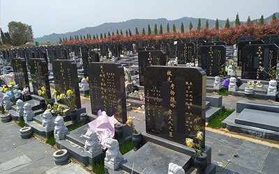 这些细微的地方反映出一个祖坟的好坏