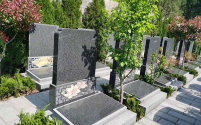 昆明墓地的“向”与“相”