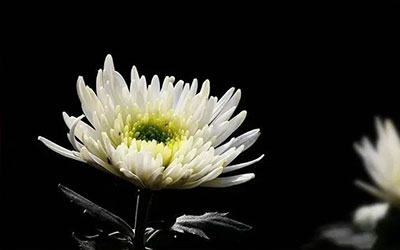 传统葬礼习俗，都有哪些