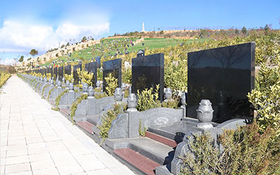 对子孙运势的影响具体表现在哪几个方面