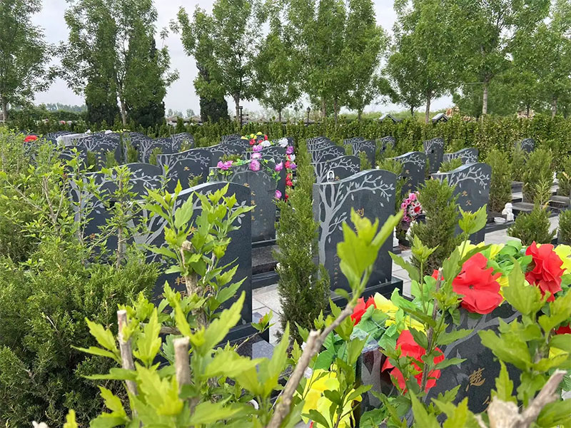 安葬吉日如何选择好