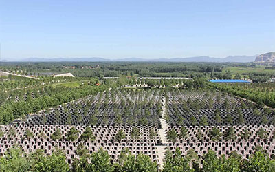 墓地堪舆术中的“明堂”指的是什么