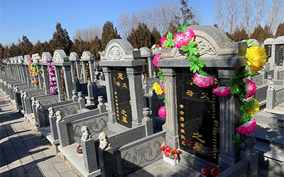 树木在风水学里的作用