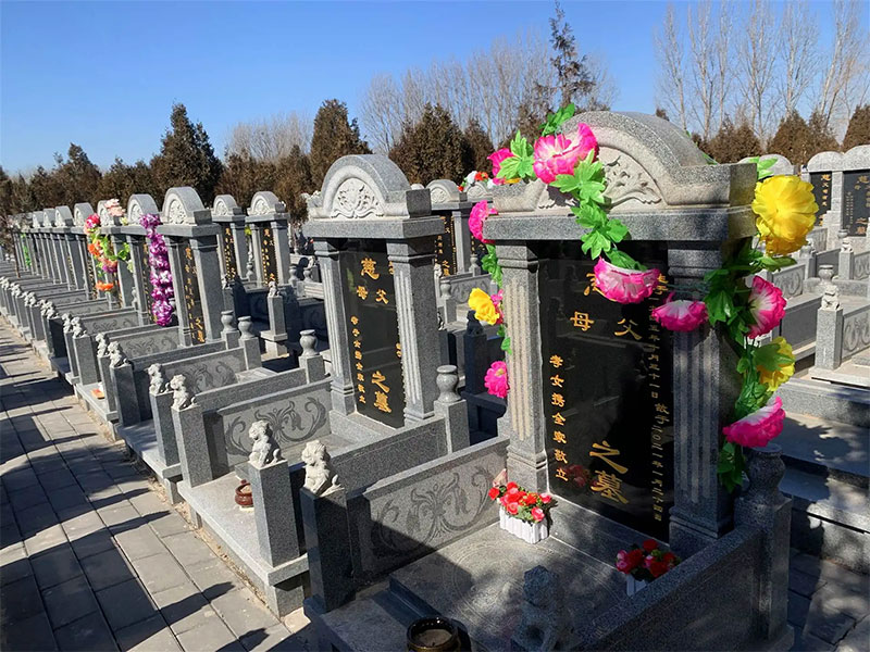 树木在风水学里有什么作用