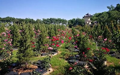 好风水墓地的明显特征是什么,如何判断墓地风水好坏