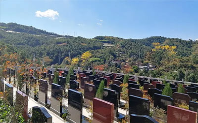 继父继母对子女在风水学上有没有影响