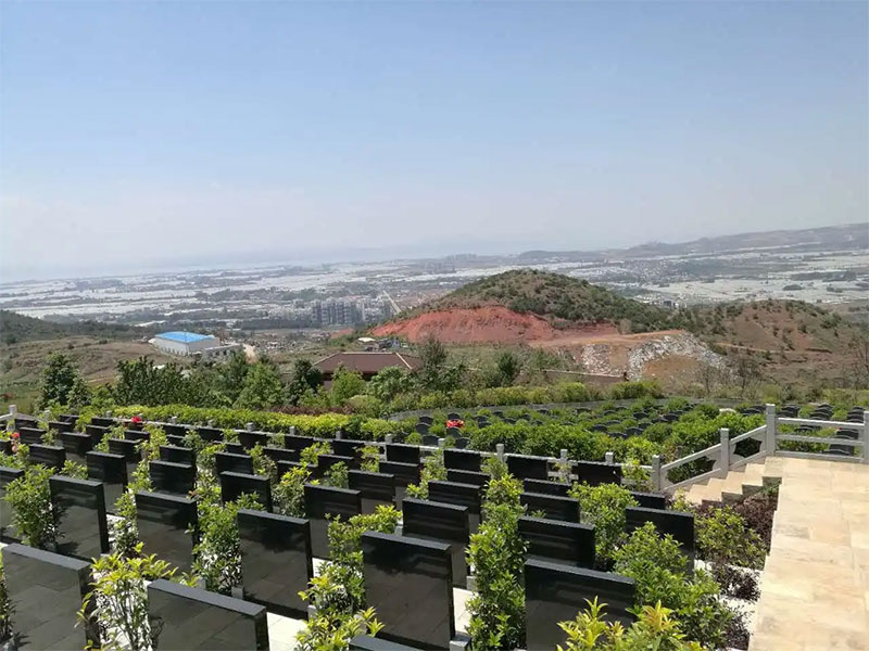 墓地是如何通过表象查看运势的