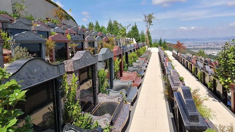 墓地种树对风水有什么影响