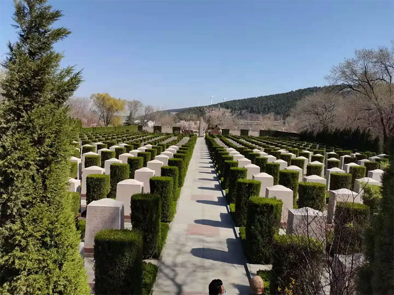 什么地形才是好墓地风水