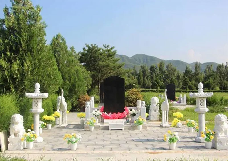 坟墓有老鼠洞好不好