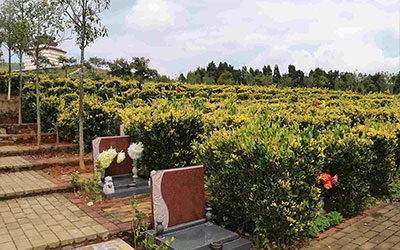 风水墓地一千例图解,墓地好的风水朝向