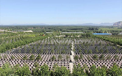 哪些人可以购买寿穴