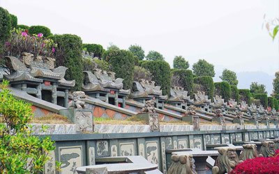 墓地里遇见蛇是吉是凶