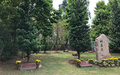 昆明树葬多少钱？昆明花坛葬怎么办理？你会选择生态葬吗？