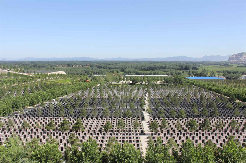 墓地风水好的明显特征是什么