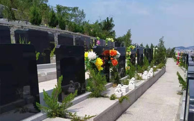 哪种墓地的风水比较好