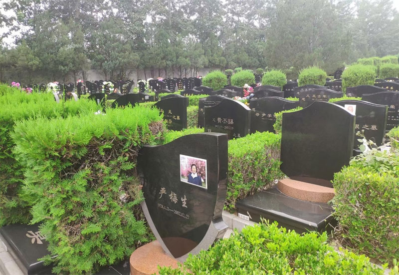 祖上有德祖坟风水好的征兆有哪些