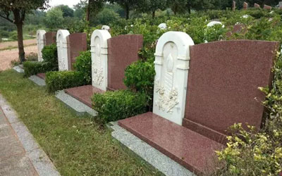 有人说墓地的风水好,后代会有福,谁能解释一下