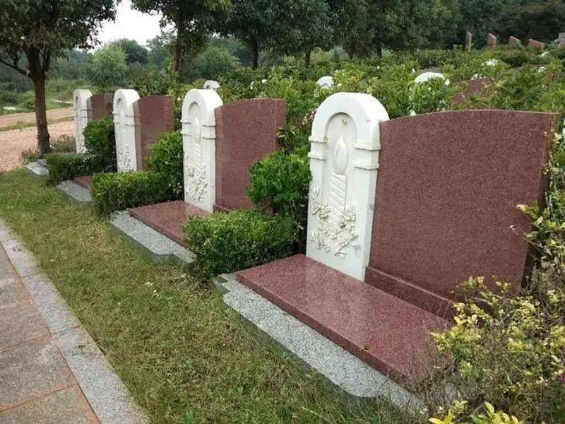 有人说墓地的风水好,后代会有福,谁能解释一下